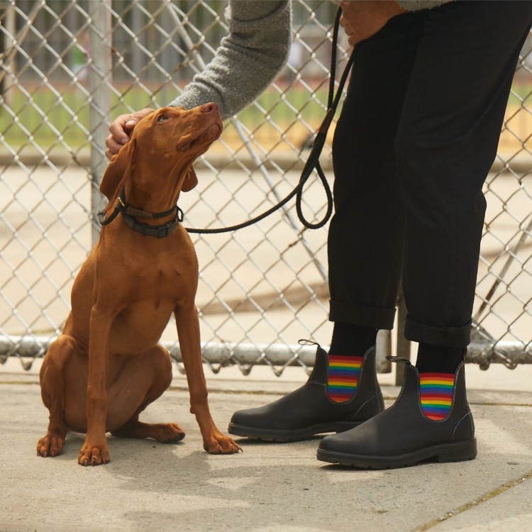 Blundstone Sale Men\s Originals Chelsea Boots Black/Rainbow