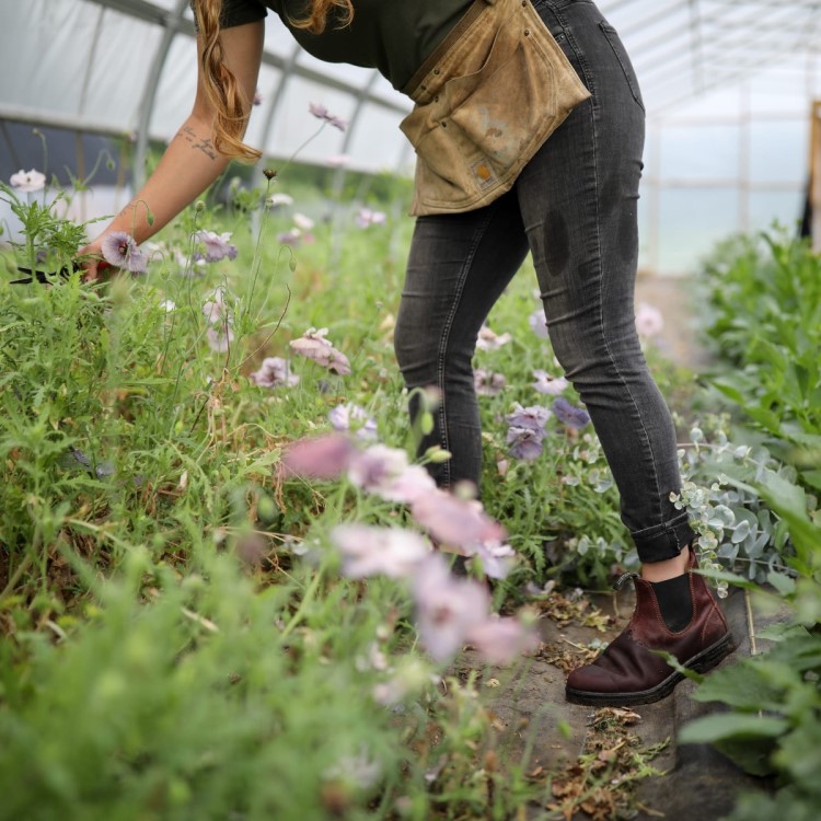 Blundstone Sale Women\s Classics Chelsea Boots Redwood